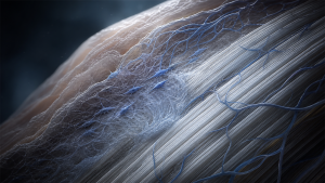Blue-grey scientific visualization of tendon fibres and connective-tissue microstructure